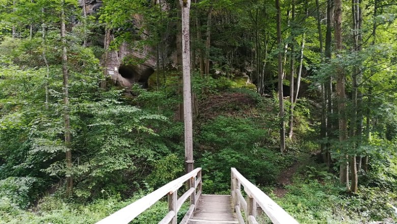 Access Gudenushoehle, © Roman Zöchlinger Wooden bridge leads through a forest to the Gudenushoehle cave.