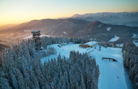 Millennium outlook, © Wiener Alpen, Franz Zwickl Winter landscape with observation tower and snow-covered trees at sunset.