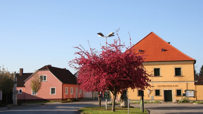 Municipal office, © Gemeinde Sierndorf A yellow building with the inscription 'Gemeindeamt' and a blossoming tree in front of it.