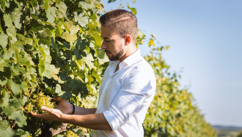 Manuel Tanzberger, © Weingut Tanzberger A man in a vineyard holds a bunch of grapes in his hands.