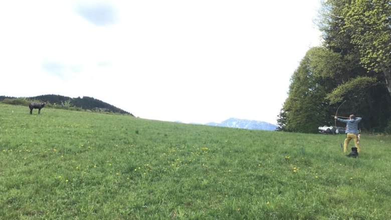 3D archery course, © Herwig Kerbl Person shoots with a bow at a target in a meadow.
