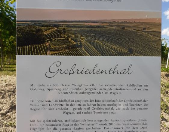 Wolfsbane, © Verena Schnatter Wolfsbane, © Verena Schnatter