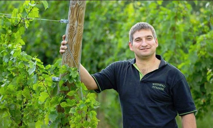 The vineyards are cultivated with much love and care., © weinbau steiner The vineyards are cultivated with much love and care., © weinbau steiner