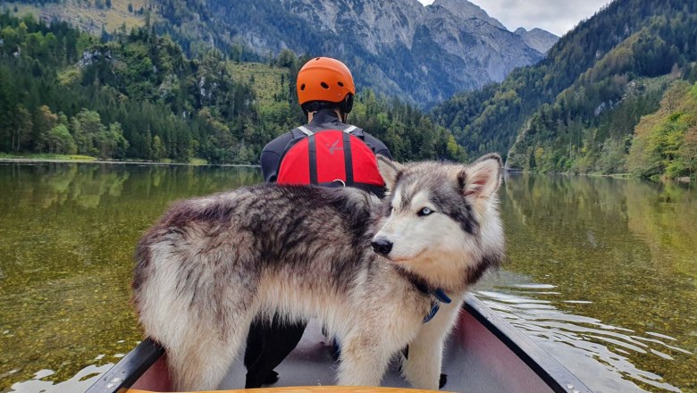 Canoe Kayak Wilderness Center Nasswald, © Georg Bergthaler Person with helmet and dog in a canoe on a quiet lake, surrounded by mountains and forest.