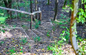 Healing forest Senftenberg, © Nuhr Medical Center Healing forest Senftenberg, © Nuhr Medical Center