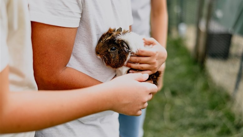 Organic farm Hipp-Bruckner, © Waldviertel Tourismus, Matthias Streibel Organic farm Hipp-Bruckner, © Waldviertel Tourismus, Matthias Streibel