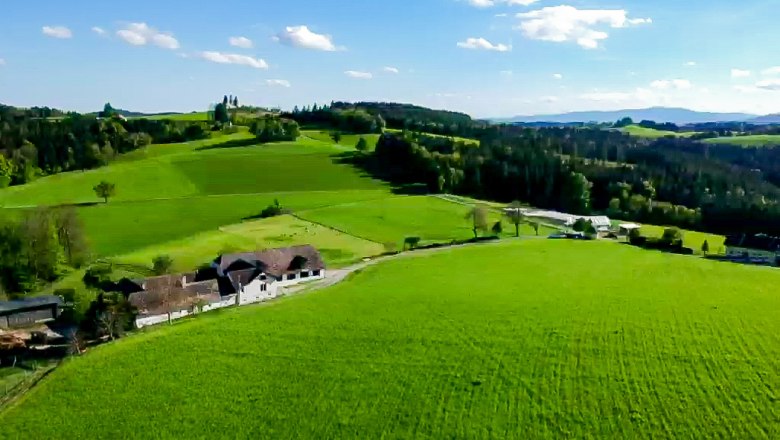 Wiedenhof, © Michaela Faustmann Fotografie Landscape with green fields and a farm under a blue sky.