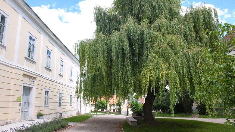 ABOVE, © OBENauf Large tree next to a yellow building with blue sky in the background.
