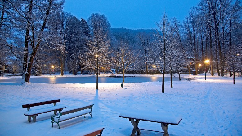 Aspang market savings bank pond, © gemeinde aspang-markt Snow-covered park with benches and illuminated trees in the evening.