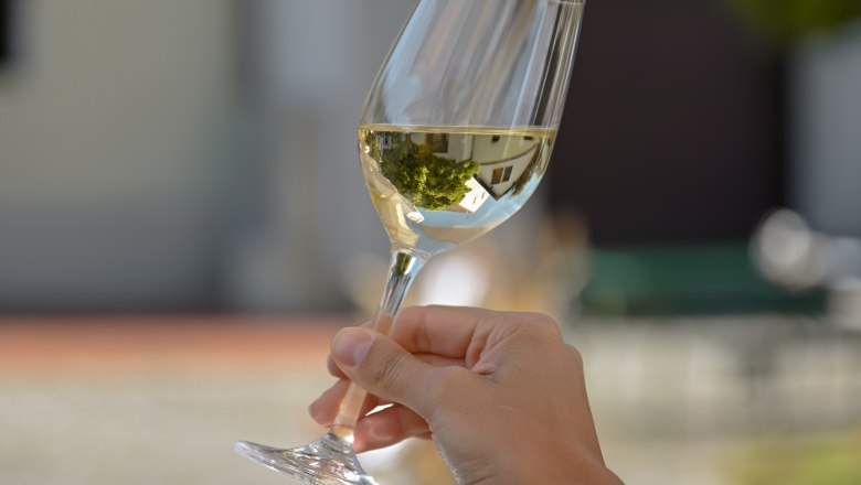 Wine glass, © Weinviertel Tourismus / Lisa Sedlatschek One hand holds a wine glass with white wine outside.