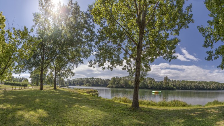Weitenegg bathing lake, © www.wirtshausgruber.at Panoramic view of a lake with trees and a bench in the foreground, sunny sky.