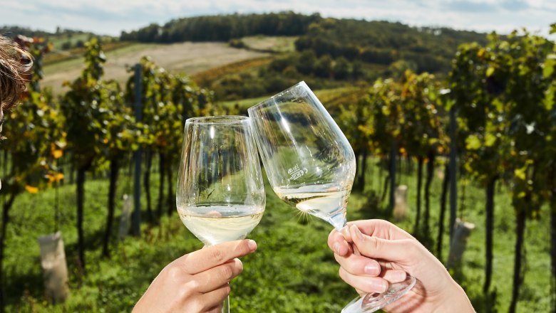 Toast, © Weinviertel Tourismus / Michael Liebert Two people clink glasses in a vineyard.