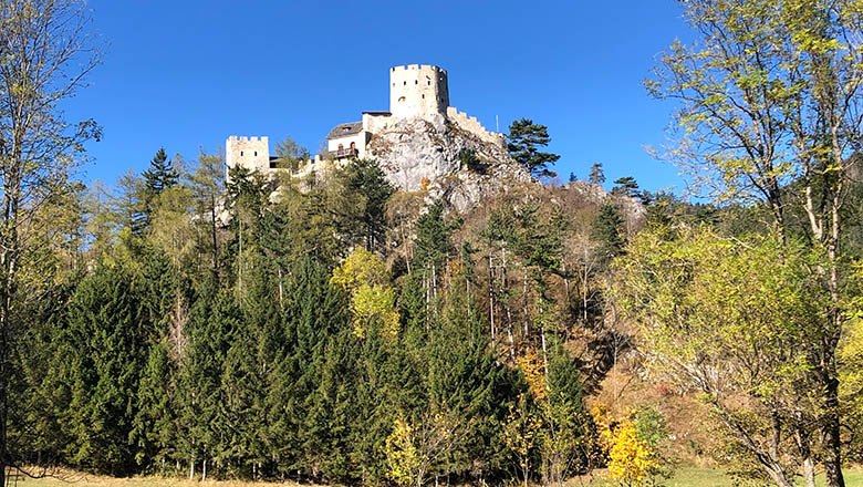 Ruin Losenheim, © Angelika Burger Ruin Losenheim on a hill with trees in the foreground.