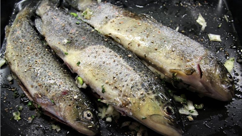 Trout, © Pixabay Trout, © Pixabay