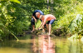 Johannesbachklamm_(c)_Fülöp, © (c)Fülöp Two people bend over a stream in a green forest.