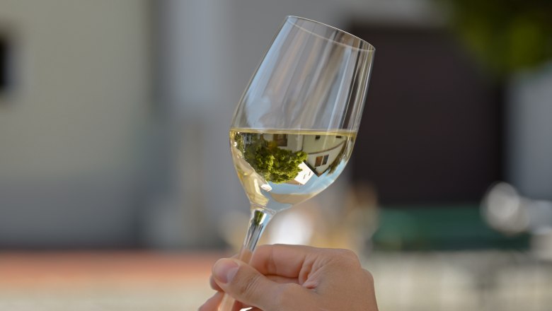 Wine glass, © Weinviertel Tourismus / Lisa Sedlatschek One hand holds a wine glass with white wine outside.