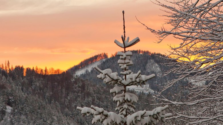 Hotel Winterbach, © Hotel Winterbach Hotel Winterbach, © Hotel Winterbach