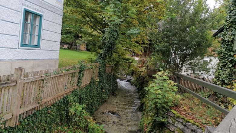 Located directly on the small stream, © Wiener Alpen A small stream flows between a house and a wooden fence, surrounded by trees and plants.