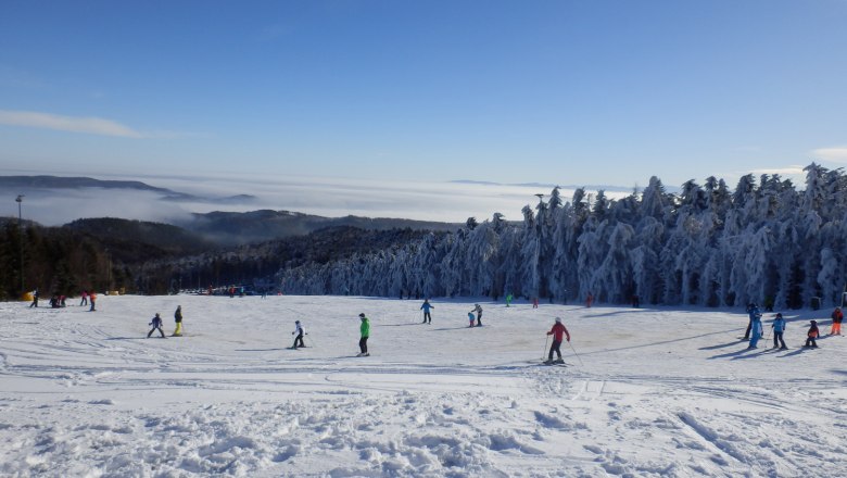 skiing at jauerling-c-ib-donau lower austria, © Donau Niederösterreich_Ingrid Bauer skiing at jauerling-c-ib-donau lower austria, © Donau Niederösterreich_Ingrid Bauer