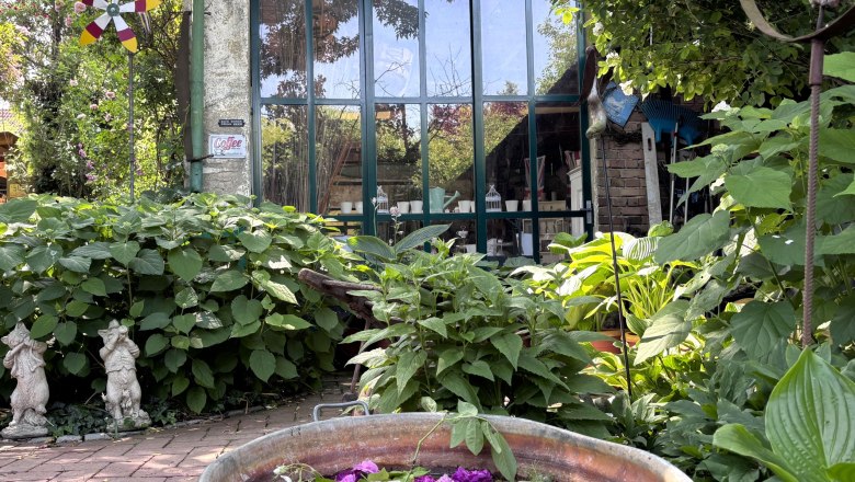 A cottage garden with a zinc container full of flowers, surrounded by lush greenery and a glass front with the inscription 'Seven Sisters Road N15'.