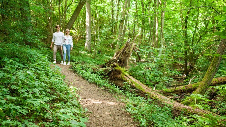 Pulkau, &copy; Retzer Land / Die Reisereporter