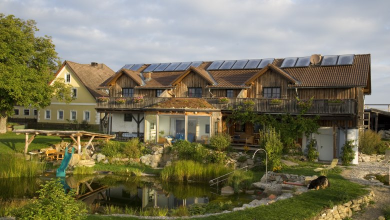 An organic farm with solar panels on the roof, a pond and a dog in the garden.