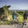 Cycling break in the vineyards in Furth, © Daniela Matejschek