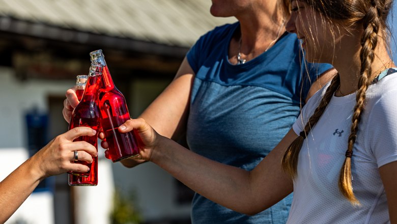 Three people clink glasses with red drinks bottles.