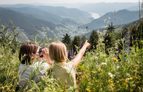 Herrliche Aussicht vom Jauerling, © Wachau-Nibelungengau-Kremstal