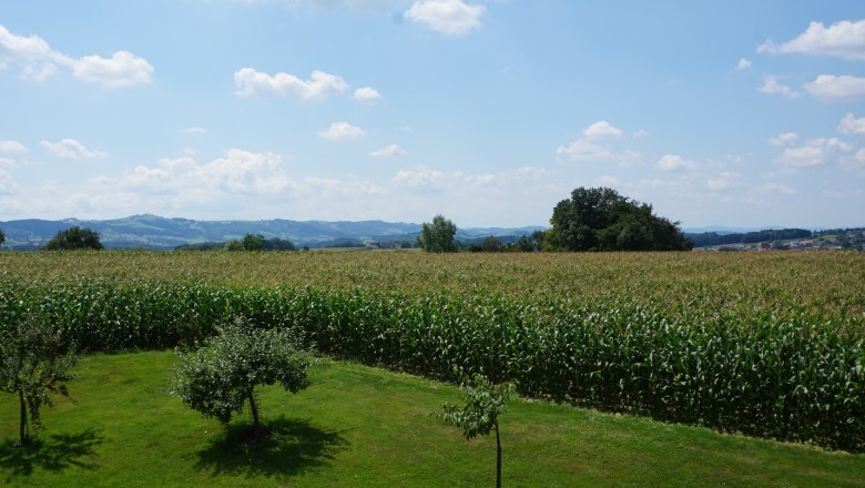 Outlook, © Eva Gruber