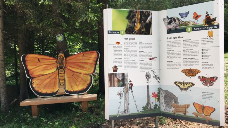 Information sign about butterflies in the forest with a butterfly bench next to it.