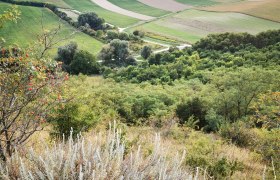 Landscape with hills, fields and bushes in the foreground.