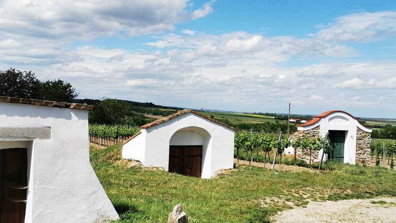 Wine cellar in Zellerndorf, surrounded by vineyards and blue skies.