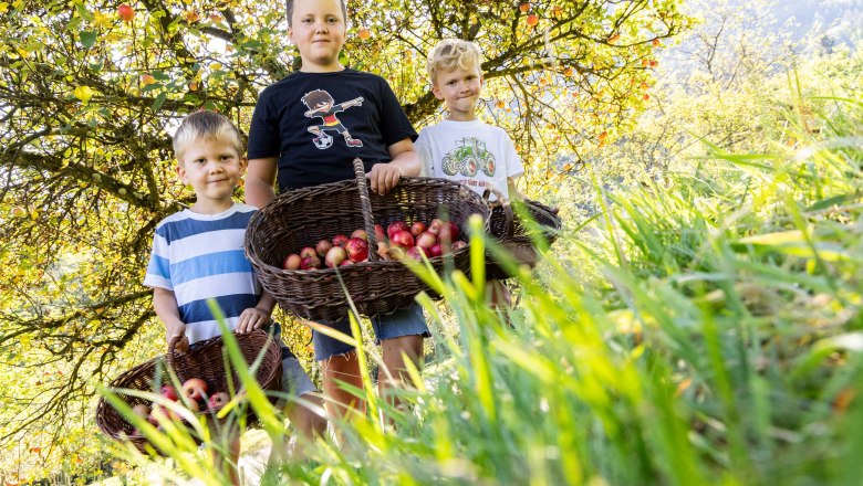 Organic farm Phyrabauer, &copy; Theo Kust