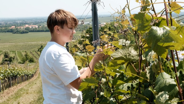 Schlager family, &copy; Wienerwald Tourismus/Kerstin Semmelmeyer