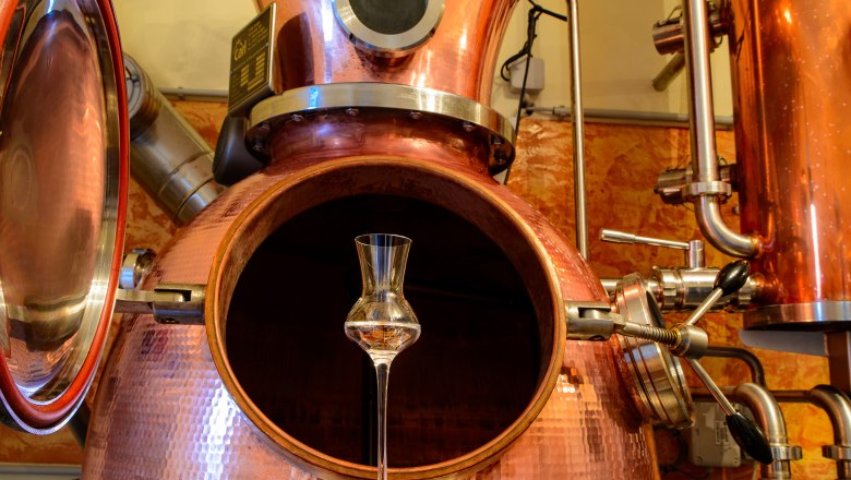 Copper distillation plant with a shot glass in the foreground.