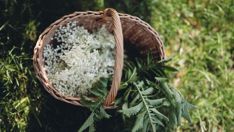 Herb garden well-being, &copy; Stefan Voitl