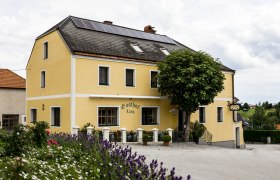 Yellow guesthouse with solar panels on the roof, surrounded by flowers and trees.