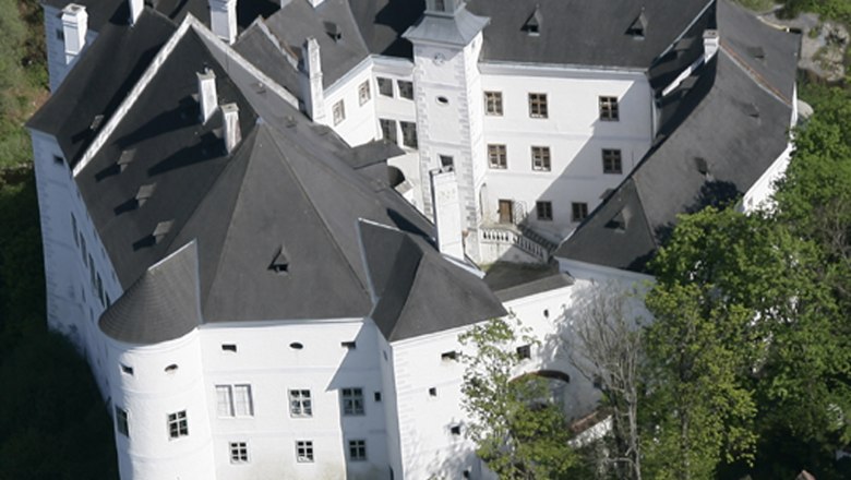 Aerial view of the Europaschloss Leiben surrounded by trees.