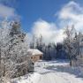 Snow-covered vacation home in the forest in the sunshine.