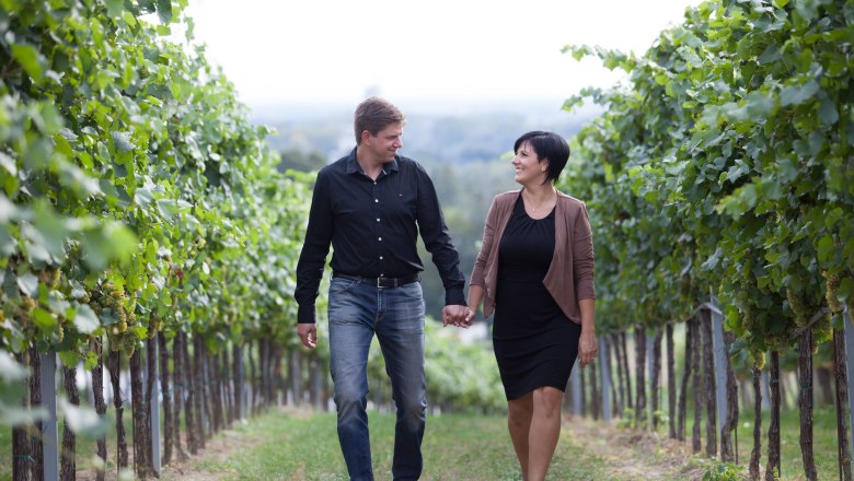 A couple walks hand in hand through a vineyard.