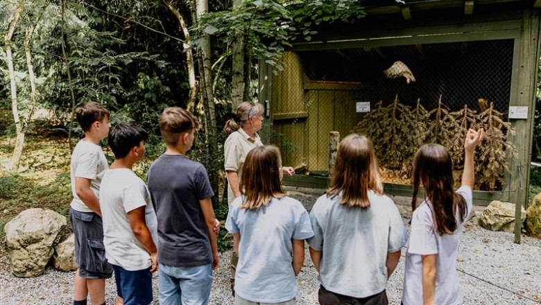 Lower Austrian Falconry and Birds of Prey Center, © Waldviertel Tourismus, Matthias Streibel
