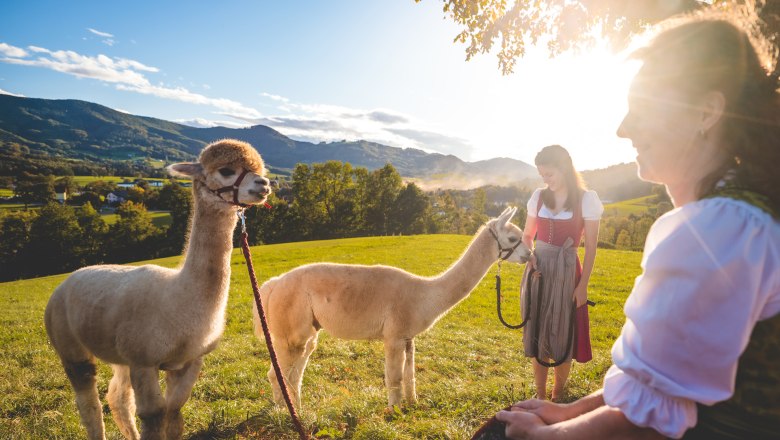 Rest area with a view of the Texingtal valley, &copy; auftragsfoto.at Stefan Sappert