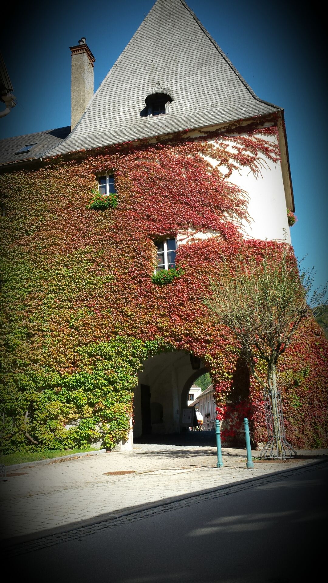 A historic building overgrown with ivy that has an archway.