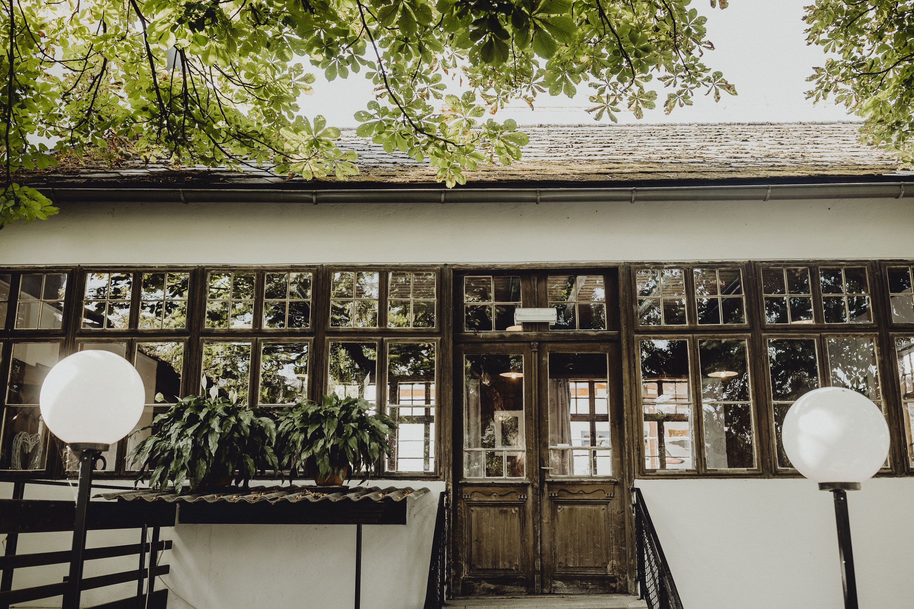 Entrance to a building with large windows and plants, surrounded by trees.