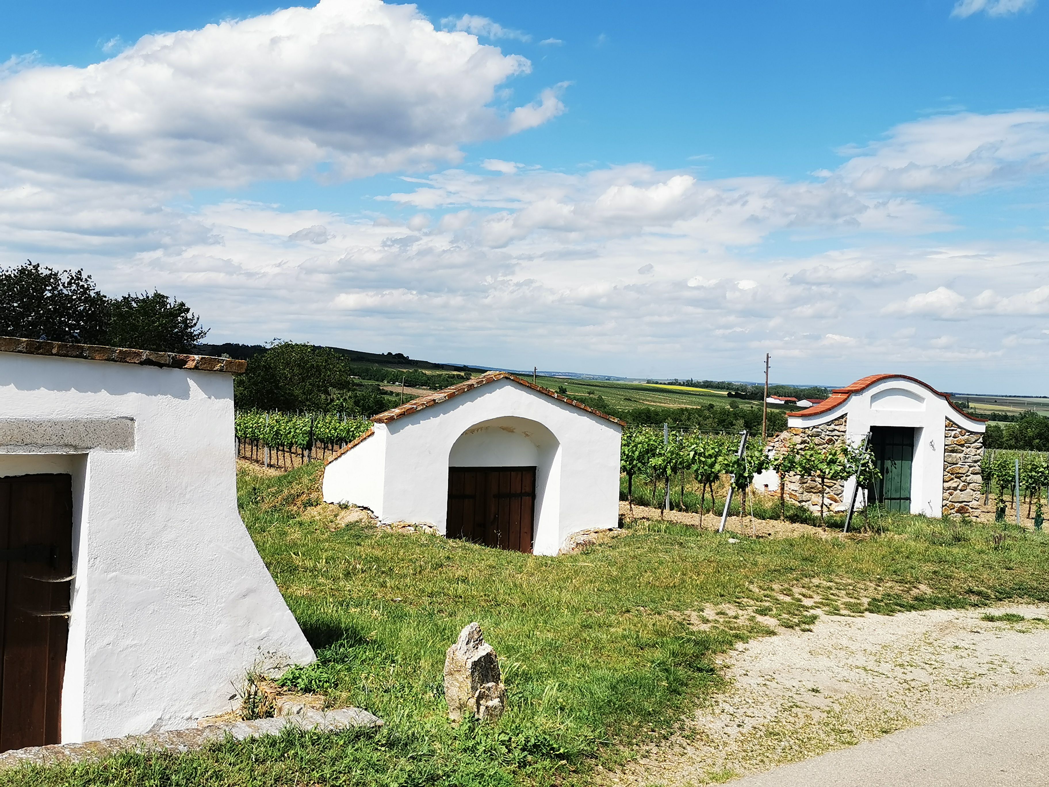 Wine cellar in Zellerndorf, surrounded by vineyards and blue skies.