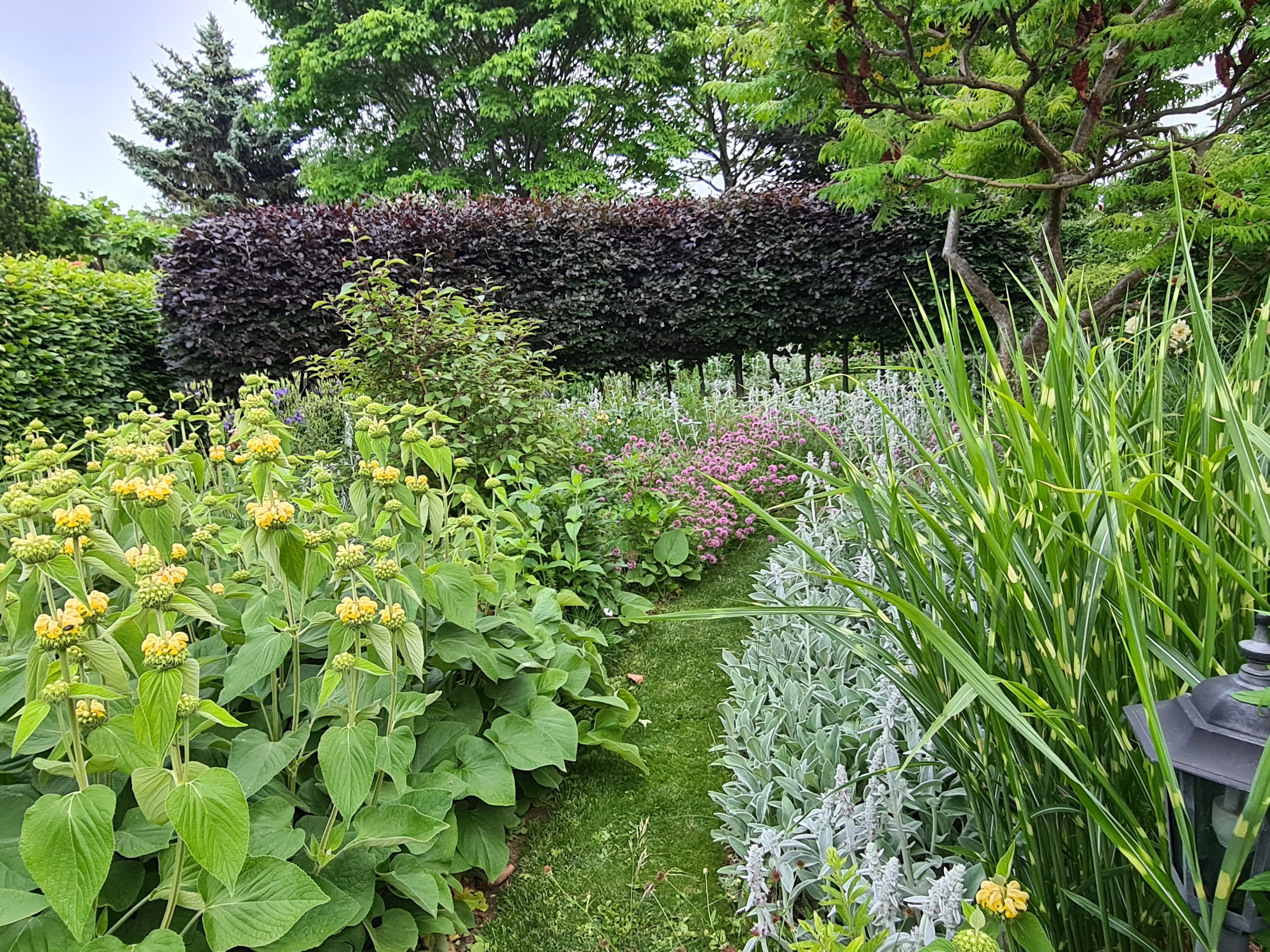 Am Pulverturm show garden, prairie garden