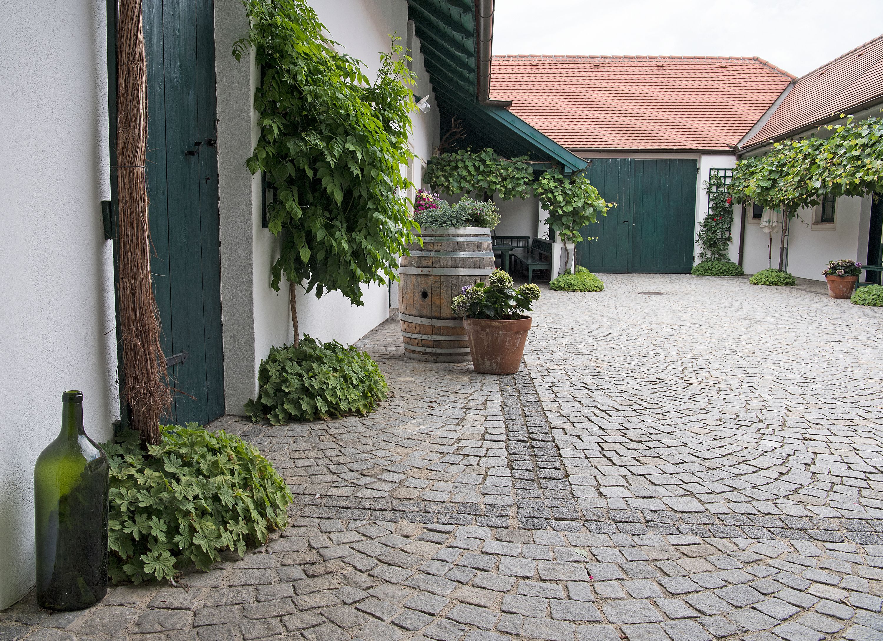 Inner courtyard of a vineyard with cobblestones, green doors and plants.