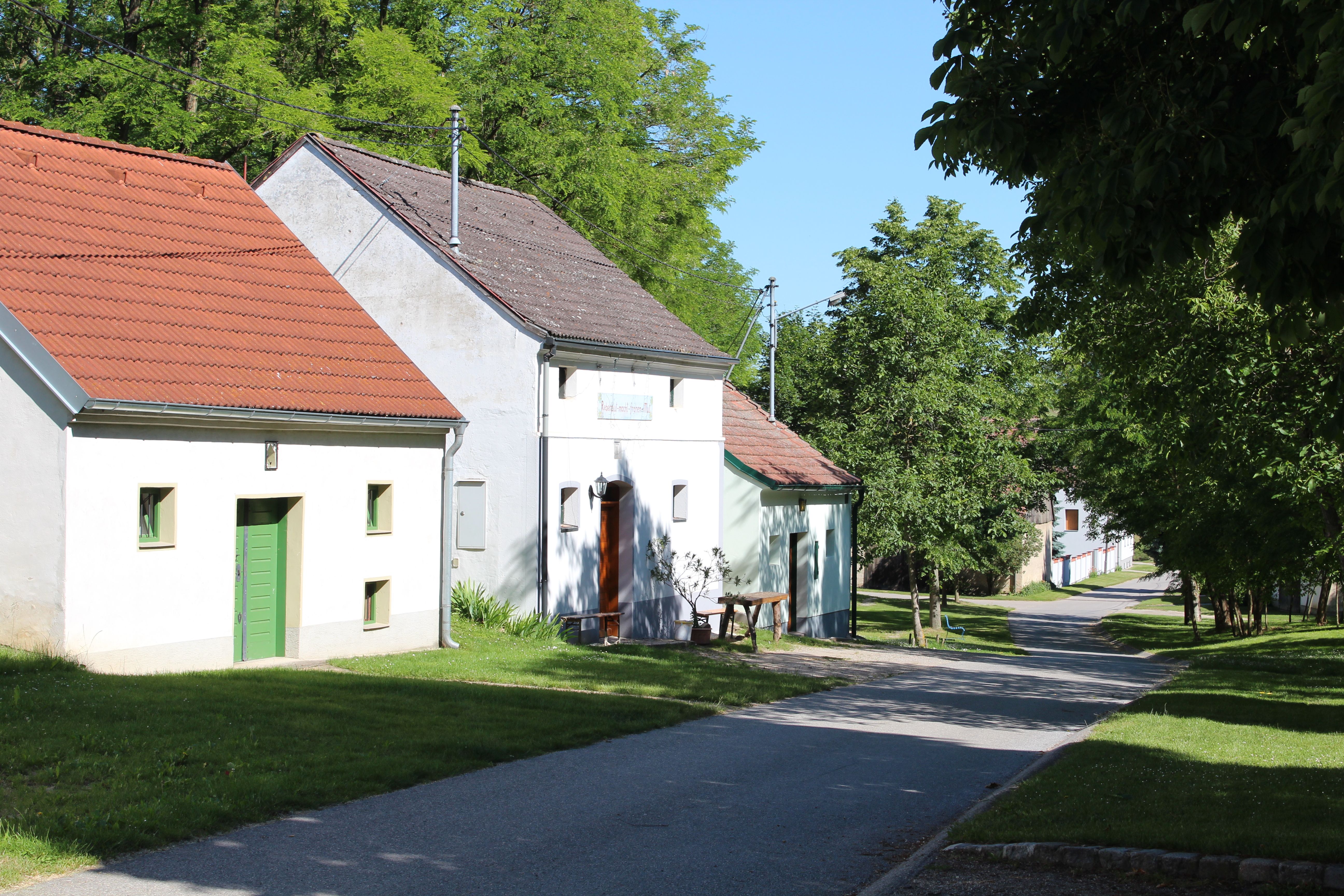 A quiet street with traditional houses and green trees on a sunny day.