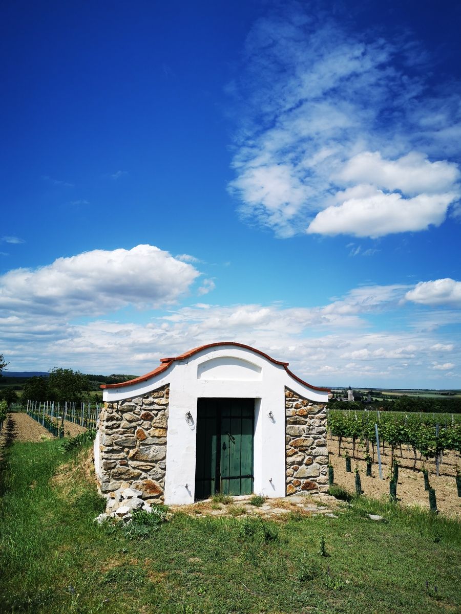 Small stone house in a vineyard under a blue sky with clouds.